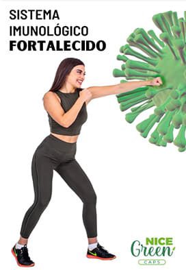 pdf5