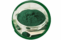 Espirulina