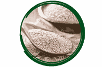 Psyllium
